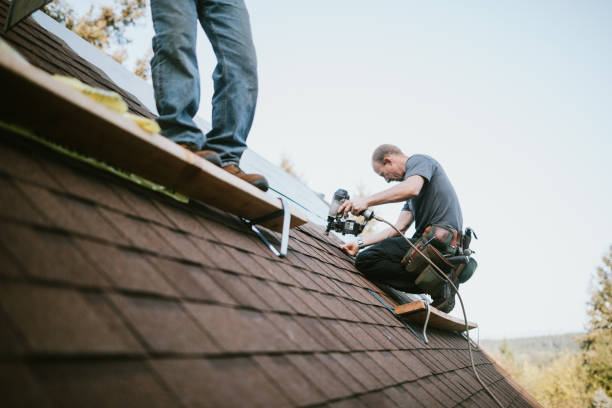 Best Roof Waterproofing Services  in Weston, MO